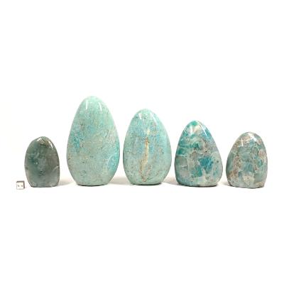 Amazonite - Forme libre n°05 ( Lot de 5 pièces )