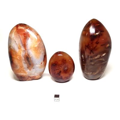 Cornaline - Forme libre n°13 ( Lot de 3 pièces )