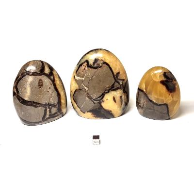 Septaria - Forme libre n°17 (Lot de 3 pièces)