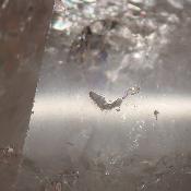 Cristal de Roche Pointe Polie 15902