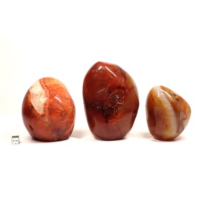 Cornaline - Forme libre n°04 (Lot de 3 pièces)