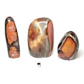 Jaspe Polychrome - Forme libre n°07 ( Lot de 3 pièces )