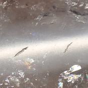 Cristal de Roche Pointe Polie 15866