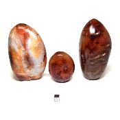 Cornaline - Forme libre n°13 ( Lot de 3 pièces )