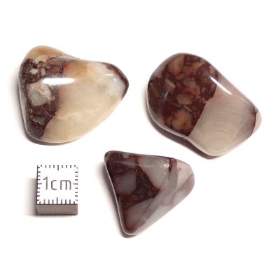 Cataclasite du Botswana - pierre roulée (Lot de 250 grammes)