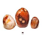 Cornaline - Forme libre n°15 ( Lot de 3 pièces )