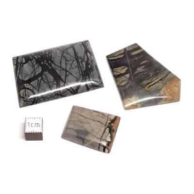 Jaspe Picasso - cabochon (Lot de 5 pièces)  