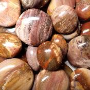 Bois Fossile - galet (Lot de 25 pièces ENVIRON) 
