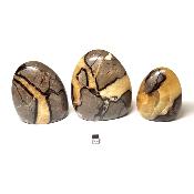 Septaria - Forme libre n°17 (Lot de 3 pièces)