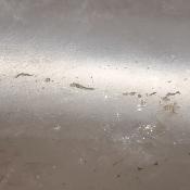 Cristal de Roche Pointe Polie 15874