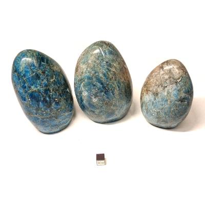 Apatite Bleue - Forme libre n°03 ( Lot de 3 pièces )