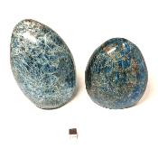 Apatite Bleue - Forme libre n°08 ( Lot de 2 pièces )