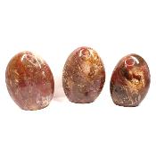 Bois Fossile - Forme libre n°12 (Lot de 3 pièces)