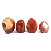 Cornaline - Forme libre n°01 (Lot de 4 pièces) 