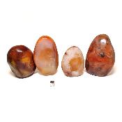 Cornaline - Forme libre n°17 ( Lot de 4 pièces )