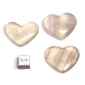 Fluorine Multi - coeur (Lot de 15 pièces) 