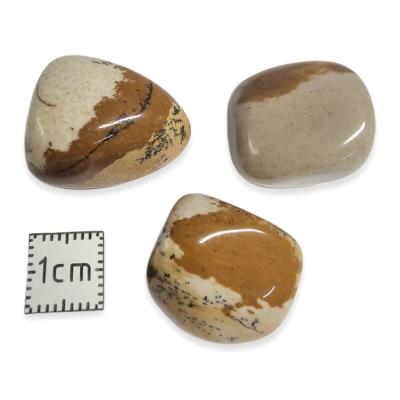 Jaspe paysage - pierre roulée Grande Taille (Lot de 500 grammes)