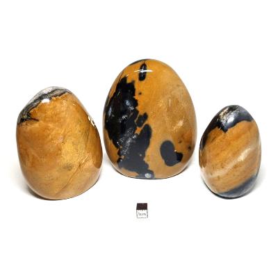 Jaspe jaune - Forme libre n°11 ( Lot de 3 pièces )