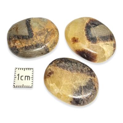 Septaria - mini pierre plate 