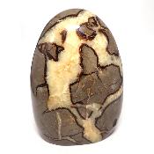 Septaria - Forme libre n°15564 (Lot de 1 pièce)