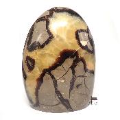 Septaria - Forme libre n°15565 ( Lot de 1 pièce )