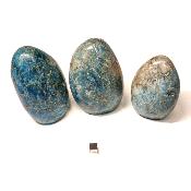 Apatite Bleue - Forme libre n°03 ( Lot de 3 pièces )
