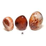 Cornaline - Forme libre n°18 ( Lot de 3 pièces )