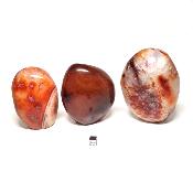 Cornaline - Forme libre n°18 ( Lot de 3 pièces )