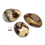 Septaria - galet (Lot de 26 pièces ENVIRON)