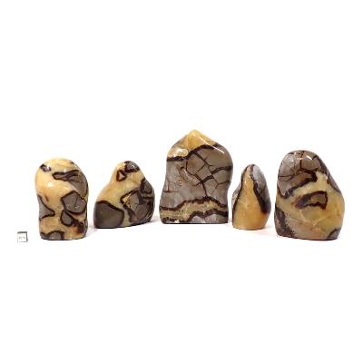 Septaria - Forme libre n°02 (Lot de 3 pièce)