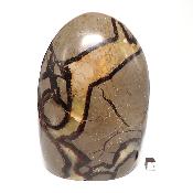 Septaria - Forme libre n°15565 ( Lot de 1 pièce )