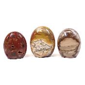 Bois Fossile - Forme libre n°03 (Lot de 3 pièces)