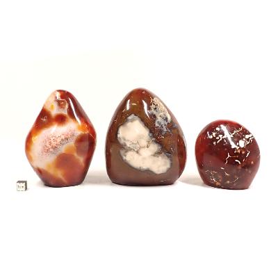 Cornaline - Forme libre n°03 (Lot de 3 pièces)