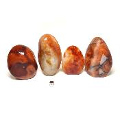 Cornaline - Forme libre n°17 ( Lot de 4 pièces )