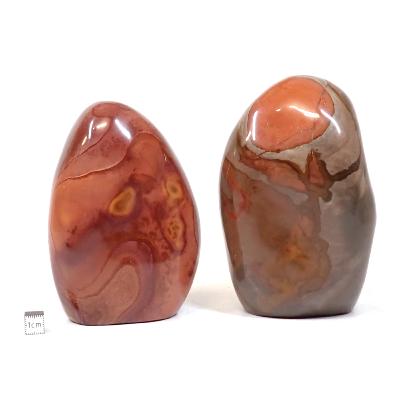 Jaspe Polychrome - Forme libre n°08 ( Lot de 2 pièces )