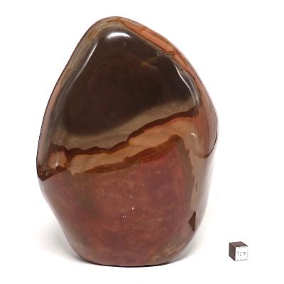 Jaspe Polychrome - Forme libre n°15558 ( Lot de 1 pièce )