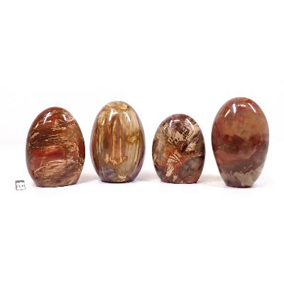 Bois Fossile - Forme libre n°04 (Lot de 4 pièces)