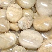 Pierre de Lune Beige - galet (Lot de 25 pièces ENVIRON)  