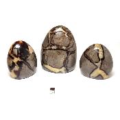 Septaria - Forme libre n°06 (Lot de 3 pièces)