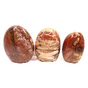 Bois Fossile - Forme libre n°17 (Lot de 3 pièces)