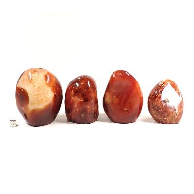 Cornaline - Forme libre n°01 (Lot de 4 pièces) 