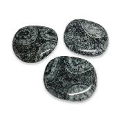 Diorite Orbiculaire - pierres plates
