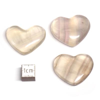 Fluorine Multi - coeur (Lot de 15 pièces) 