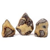 Septaria - Forme libre n°01 (Lot de 3 pièce)