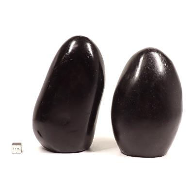 Tourmaline noire - Forme libre n°06 (Lot de 2 pièces)