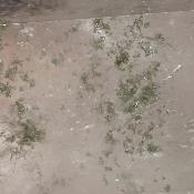 Cristal de Roche Pointe Polie 15947