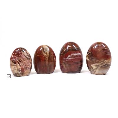 Bois Fossile - Forme libre n°08 (Lot de 4 pièces)