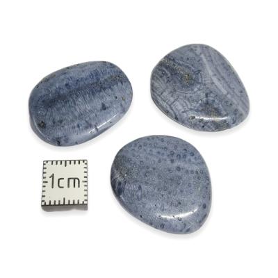 Corail bleu - mini pierre plate