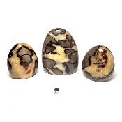 Septaria - Forme libre n°06 (Lot de 3 pièces)