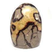 Septaria - Forme libre n°15565 ( Lot de 1 pièce )